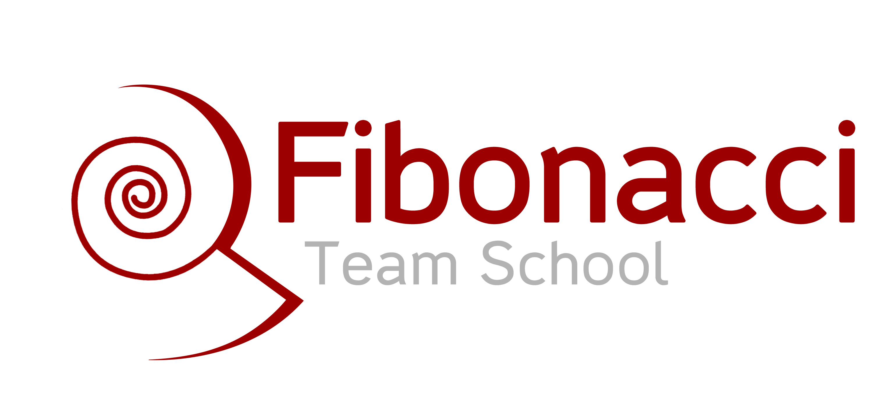 Fibo Team School